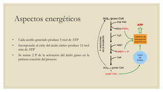 Aspectos energéticos
• Cada acetilo generado produce 5 mol de ATP
• Incorporado al ciclo del ácido cítrico produce 12 mol
más de ATP
• Se restan 2 P de la activación del ácido graso en la
primera reacción del proceso
 