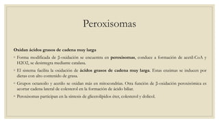 Peroxisomas
Oxidan ácidos grasos de cadena muy larga
◦ Forma modificada de β-oxidación se encuentra en peroxisomas, conduce a formación de acetil-CoA y
H2O2, se desintegra mediante catalasa.
◦ El sistema facilita la oxidación de ácidos grasos de cadena muy larga. Estas enzimas se inducen por
dietas con alto contenido de grasa.
◦ Grupos octanoilo y acetilo se oxidan más en mitocondrias. Otra función de β-oxidación peroxisómica es
acortar cadena lateral de colesterol en la formación de ácido biliar.
◦ Peroxisomas participan en la síntesis de glicerolípidos éter, colesterol y dolicol.
 