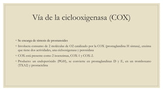 Vía de la ciclooxigenasa (COX)
◦ Se encarga de síntesis de prostanoides
◦ Involucra consumo de 2 moléculas de O2 catalizado por la COX (prostaglandina H sintasa), enzima
que tiene dos actividades, una ciclooxigenasa y peroxidasa
◦ COX está presente como 2 isoenzimas, COX-1 y COX-2.
◦ Producto: un endoperóxido (PGH), se convierte en prostaglandinas D y E, en un tromboxano
(TXA2) y prostaciclina
 