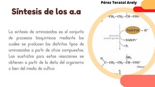 La síntesis de aminoácidos es el conjunto
de procesos bioquímicos mediante los
cuales se producen los distintos tipos de
aminoácidos a partir de otros compuestos.
Los sustratos para estas reacciones se
obtienen a partir de la dieta del organismo
o bien del medio de cultivo
Síntesis de los a.a
Pérez Teratol Arely
 