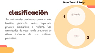 clasificación glutamato
serina
1
2
los aminoácidos pueden agruparse en seis
familias: glutamato, serina, aspartato,
piruvato, aromáticos e histidina. Los
aminoácidos de cada familia provienen en
última instancia de una molécula
precursora
Pérez Teratol Arely
 