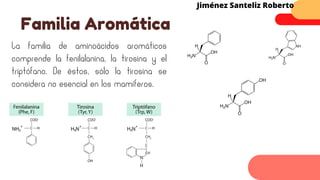 La familia de aminoácidos aromáticos
comprende la fenilalanina, la tirosina y el
triptófano. De éstos, sólo la tirosina se
considera no esencial en los mamíferos.
Familia Aromática
Jiménez Santeliz Roberto
 