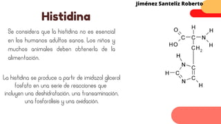 Se considera que la histidina no es esencial
en los humanos adultos sanos. Los niños y
muchos animales deben obtenerla de la
alimentación.
Histidina
Jiménez Santeliz Roberto
La histidina se produce a partir de imidazol glicerol
fosfato en una serie de reacciones que
incluyen una deshidratación, una transaminación,
una fosforólisis y una oxidación.
 