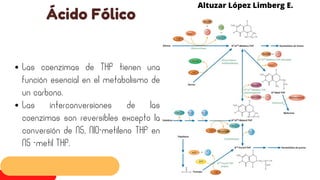 Ácido Fólico
Altuzar López Limberg E.
Las coenzimas de THF tienen una
función esencial en el metabolismo de
un carbono.
Las interconversiones de las
coenzimas son reversibles excepto la
conversión de N5, N10-metileno THF en
N5 -metil THF.
 
