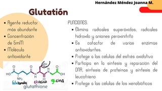 Glutatión
Hernández Méndez Joanna M.
Agente reductor
más abundante
Concentración
de 5mM
Molécula
antioxidante
Elimina radicales superóxidos, radicales
hidroxilo y aniones peroxinitrito
Es cofactor de varias enzimas
antioxidantes.
Protege a las células del estrés oxidativo
Participa en la síntesis y reparación del
DNA, síntesis de proteínas y síntesis de
leucotrieno
Protege a las células de los xenobióticos
FUNCIONES:
 
