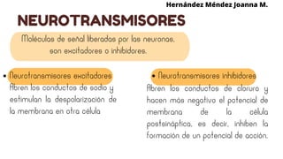 NEUROTRANSMISORES
Hernández Méndez Joanna M.
Moléculas de señal liberadas por las neuronas,
son excitadores o inhibidores.
Neurotransmisores excitadores Neurotransmisores inhibidores
Abren los conductos de sodio y
estimulan la despolarización de
la membrana en otra célula
Abren los conductos de cloruro y
hacen más negativo el potencial de
membrana de la célula
postsináptica, es decir, inhiben la
formación de un potencial de acción.
 