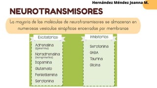 NEUROTRANSMISORES
Hernández Méndez Joanna M.
La mayoría de las moléculas de neurotransmisores se almacenan en
numerosas vesículas sinápticas encerradas por membranas
 