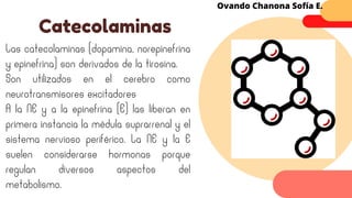 Las catecolaminas (dopamina, norepinefrina
y epinefrina) son derivados de la tirosina.
Son utilizados en el cerebro como
neurotransmisores excitadores
A la NE y a la epinefrina (E) las liberan en
primera instancia la médula suprarrenal y el
sistema nervioso periférico. La NE y la E
suelen considerarse hormonas porque
regulan diversos aspectos del
metabolismo.
Catecolaminas
Ovando Chanona Sofía E.
 