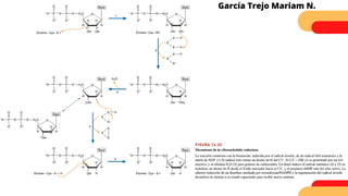 García Trejo Mariam N.
 