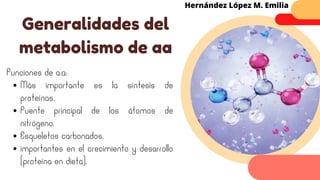 Más importante es la síntesis de
proteínas,
Fuente principal de los átomos de
nitrógeno.
Esqueletos carbonados.
importantes en el crecimiento y desarrollo
(proteína en dieta).
Funciones de a.a:
Generalidades del
metabolismo de aa
Hernández López M. Emilia
 