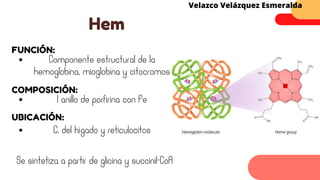 FUNCIÓN:
Hem
Velazco Velázquez Esmeralda
Componente estructural de la
hemoglobina, mioglobina y citocromos
COMPOSICIÓN:
1 anillo de porfirina con Fe
UBICACIÓN:
C. del hígado y reticulocitos
Se sintetiza a partir de glicina y succinil-CoA
 