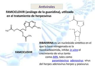 EL metabolismo de LOS nucleotidos (5).pptx