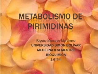 METABOLISMO DE
  PIRIMIDINAS
    Riguey Mercado Marchena
  UNIVERSIDAD SIMÓN BOLÍVAR
     MEDICINA II SEMESTRE
          BIOQUIMICA
             2.011-II
 