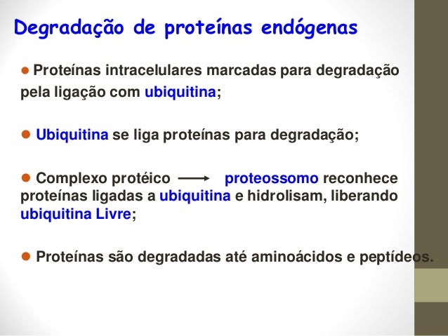 La mejor solución para Pastillas de pérdida de peso