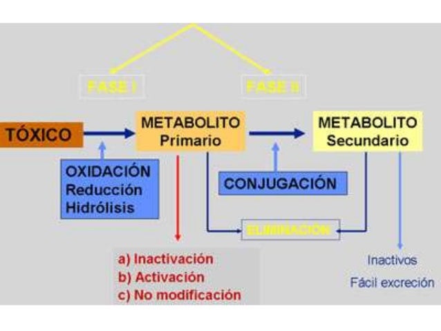Error más grande con Dolor de espalda media