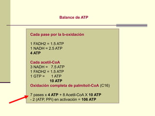Cada pase por la b-oxidación
1 FADH2 = 1.5 ATP
1 NADH = 2.5 ATP
4 ATP
Cada acetil-CoA
3 NADH = 7.5 ATP
1 FADH2 = 1.5 ATP
1 GTP = 1 ATP
10 ATP
Oxidación completa de palmitoil-CoA (C16)
7 pases x 4 ATP + 8 Acetil-CoA X 10 ATP
- 2 (ATP, PPi) en activación = 106 ATP
Balance de ATP
 