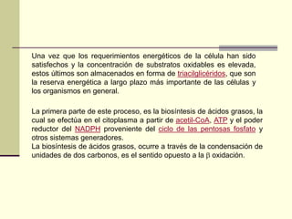 Una vez que los requerimientos energéticos de la célula han sido
satisfechos y la concentración de substratos oxidables es elevada,
estos últimos son almacenados en forma de triacilglicéridos, que son
la reserva energética a largo plazo más importante de las células y
los organismos en general.
La primera parte de este proceso, es la biosíntesis de ácidos grasos, la
cual se efectúa en el citoplasma a partir de acetil-CoA, ATP y el poder
reductor del NADPH proveniente del ciclo de las pentosas fosfato y
otros sistemas generadores.
La biosíntesis de ácidos grasos, ocurre a través de la condensación de
unidades de dos carbonos, es el sentido opuesto a la  oxidación.
 