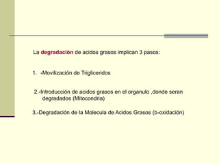 La degradación de acidos grasos implican 3 pasos:
1. -Movilización de Trigliceridos
2.-Introducción de acidos grasos en el organulo ,donde seran
degradados (Mitocondria)
3.-Degradación de la Molecula de Acidos Grasos (b-oxidación)
 