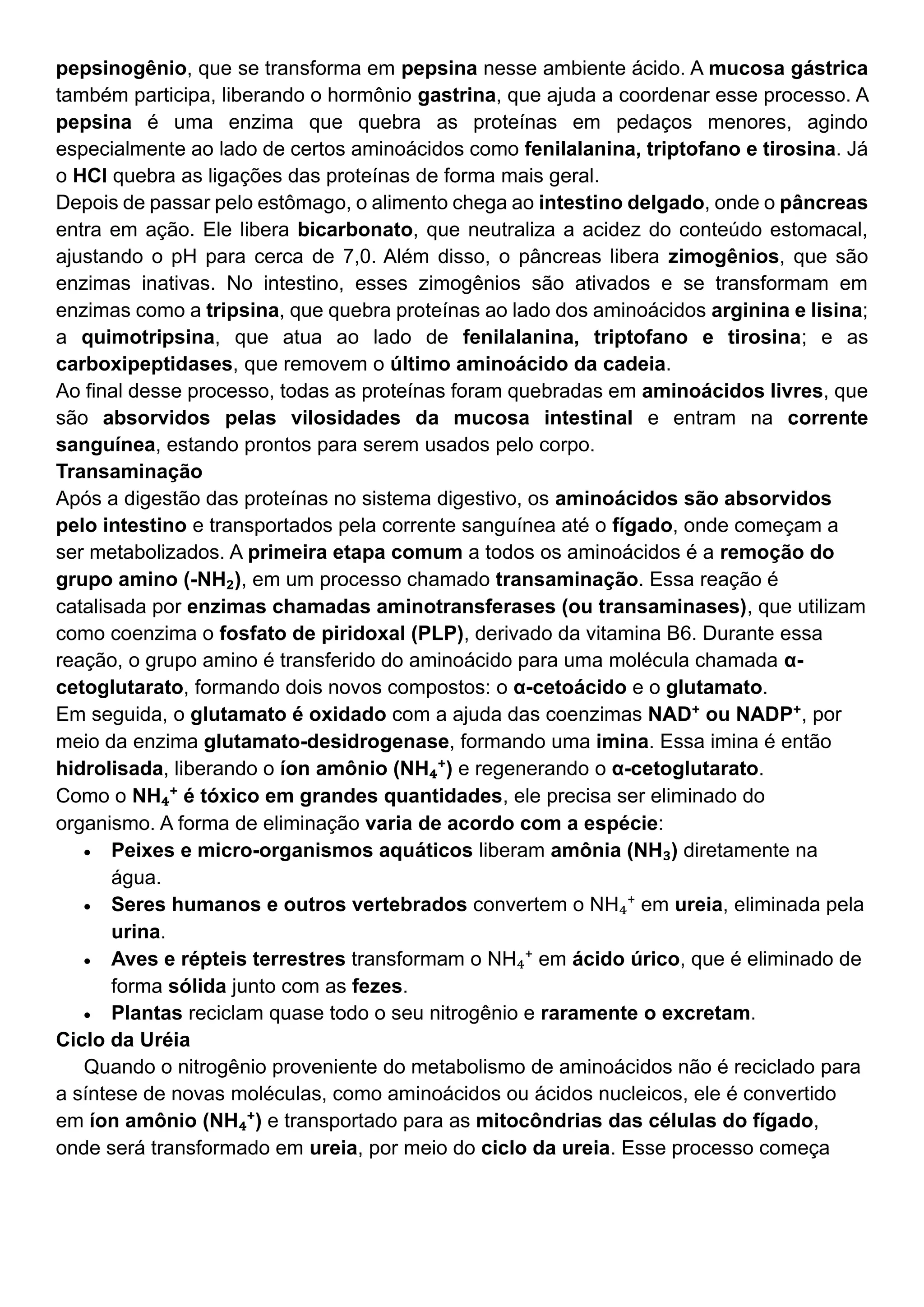 Apostila Metabolismo dos Aminoácidos.pdf