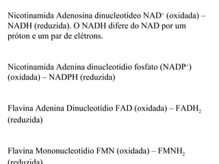 Nicotinamida Adenosina dinucleotídeo NAD+ (oxidada) –
NADH (reduzida). O NADH difere do NAD por um
próton e um par de elétrons.


Nicotinamida Adenina dinucleotídio fosfato (NADP+)
(oxidada) – NADPH (reduzida)


Flavina Adenina Dinucleotídio FAD (oxidada) – FADH2
(reduzida)


Flavina Mononucleotídio FMN (oxidada) – FMNH2
 