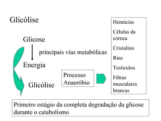 Glicólise                                 Hemácias
                                          Células da
    Glicose                               córnea
                                          Cristalino
            principais vias metabólicas
                                          Rins
    Energia                               Testículos
                     Processo             Fibras
      Glicólise      Anaeróbio            musculares
                                          brancas

 Primeiro estágio da completa degradação da glicose
 durante o catabolismo
 