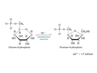 Metabolismo e catabolismo   bioquimica