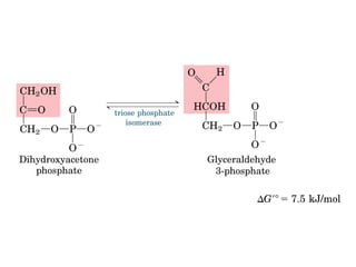 Metabolismo e catabolismo   bioquimica