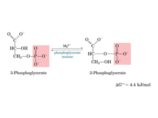 Metabolismo e catabolismo   bioquimica