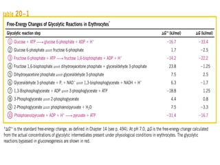 Metabolismo e catabolismo   bioquimica