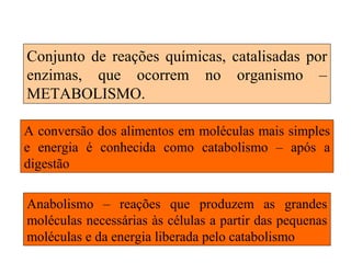 Conjunto de reações químicas, catalisadas por
enzimas, que ocorrem no organismo –
METABOLISMO.

A conversão dos alimentos em moléculas mais simples
e energia é conhecida como catabolismo – após a
digestão

Anabolismo – reações que produzem as grandes
moléculas necessárias às células a partir das pequenas
moléculas e da energia liberada pelo catabolismo
 