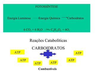 FOTOSSÍNTESE


Energia Luminosa     Energia Química        Carboidratos


           6 CO2 + 6 H2O   Luz
                                 C6H12O6 + 6O2


               Reações Catabolíticas
                   CARBOIDRATOS
    ATP                                           ATP

        ATP                                 ATP
                    ATP          ATP

                     Combustíveis
 