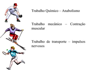 Trabalho Químico – Anabolismo


Trabalho mecânico – Contração
muscular


Trabalho de transporte – impulsos
nervosos
 