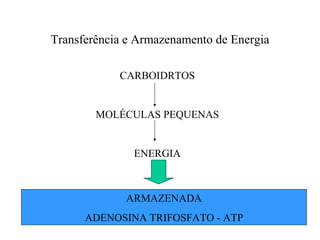 Transferência e Armazenamento de Energia

            CARBOIDRTOS


        MOLÉCULAS PEQUENAS


               ENERGIA



             ARMAZENADA
      ADENOSINA TRIFOSFATO - ATP
 