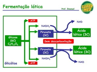 Glicólise
Glicose
(6C)
C6H12O6
ATP
ATP
Piruvato
(3C)
Piruvato
(3C)
NADH2
NADH2
Fermentação lática
Ácido
lático (3C)
NAD
Ácido
lático (3C)
NAD
Prof. Emanuel
Sem descarboxilação
 