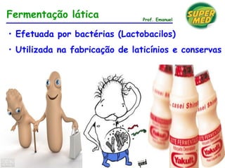 • Efetuada por bactérias (Lactobacilos)
• Utilizada na fabricação de laticínios e conservas
Fermentação lática Prof. Emanuel
 