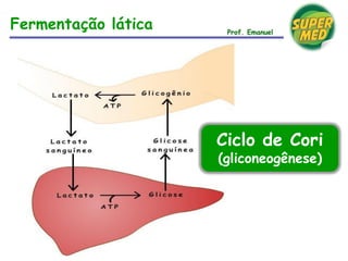 Fermentação lática Prof. Emanuel
Ciclo de Cori
(gliconeogênese)
 