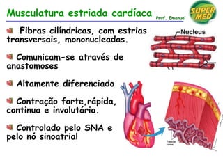 Fibras cilíndricas, com estrias
transversais, mononucleadas.
Comunicam-se através de
anastomoses
Altamente diferenciado
Contração forte,rápida,
continua e involutária.
Controlado pelo SNA e
pelo nó sinoatrial
Musculatura estriada cardíaca Prof. Emanuel
 