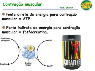 Fonte direta de energia para contração
muscular = ATP
Fonte indireta de energia para contração
muscular = fosfocreatina.
Contração muscular
Prof. Emanuel
 
