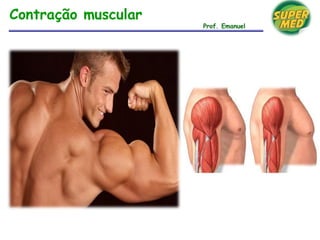 Contração muscular
Prof. Emanuel
 