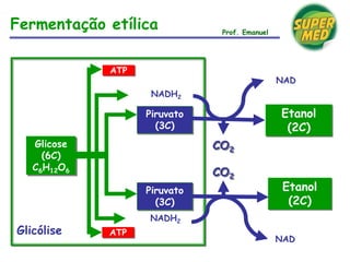 Fermentação etílica
Glicólise
Glicose
(6C)
C6H12O6
ATP
ATP
Piruvato
(3C)
Piruvato
(3C)
NADH2
NADH2
CO2
CO2
Etanol
(2C)
Etanol
(2C)
NAD
NAD
Prof. Emanuel
 