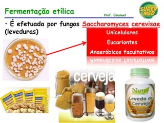 • É efetuada por fungos Saccharomyces cerevisae
(leveduras) Unicelulares
Eucariontes
Anaeróbicos facultativos
Fermentação etílica Prof. Emanuel
 