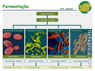 Fermentação Prof. Emanuel
 