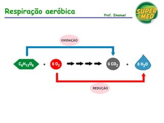 Prof. Emanuel
Respiração aeróbica
 
