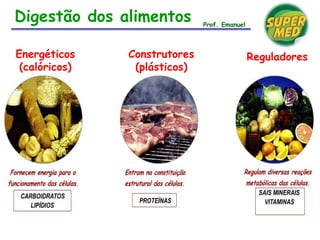 Digestão dos alimentos
Energéticos
(calóricos)
Construtores
(plásticos)
Reguladores
Prof. Emanuel
 