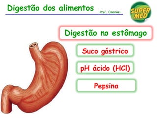 Digestão dos alimentos
Suco gástrico
pH ácido (HCl)
Pepsina
Digestão no estômago
Prof. Emanuel
 
