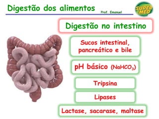 Digestão dos alimentos
Sucos intestinal,
pancreático e bile
pH básico (NaHCO3)
Tripsina
Digestão no intestino
Lipases
Lactase, sacarase, maltase
Prof. Emanuel
 