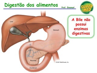 Digestão dos alimentos
A Bile não
possui
enzimas
digestivas
Prof. Emanuel
 