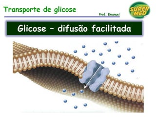 Transporte de glicose
Prof. Emanuel
Glicose – difusão facilitada
 