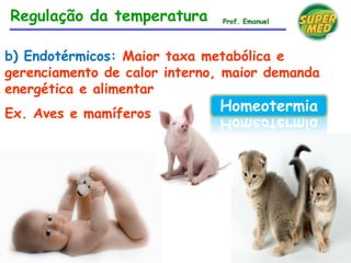 b) Endotérmicos: Maior taxa metabólica e
gerenciamento de calor interno, maior demanda
energética e alimentar
Ex. Aves e mamíferos
Homeotermia
Regulação da temperatura Prof. Emanuel
 