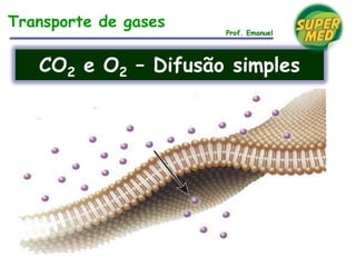 Transporte de gases
Prof. Emanuel
CO2 e O2 – Difusão simples
 